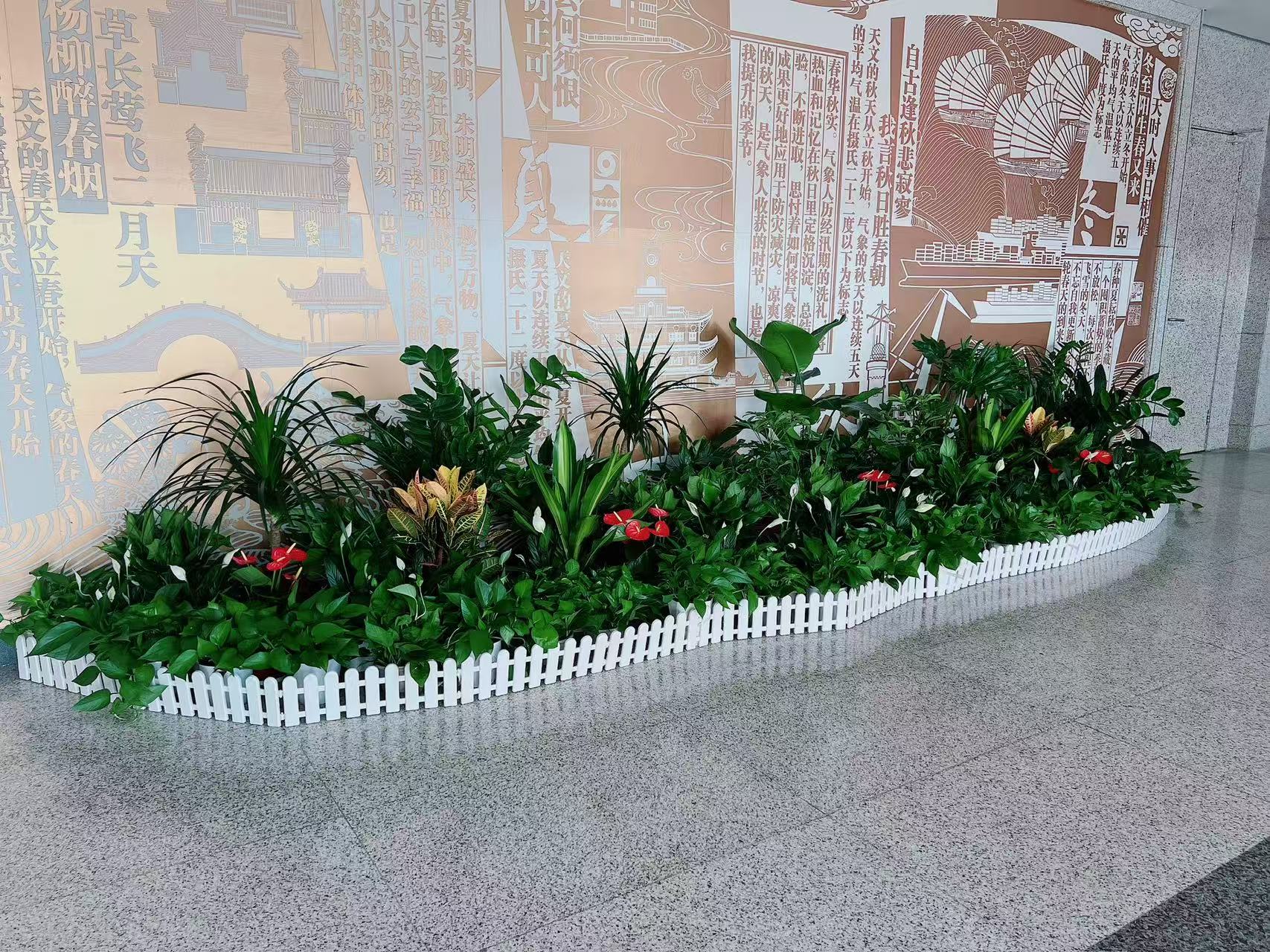 海曙植物租赁选哪家？这些亮点不容错过！